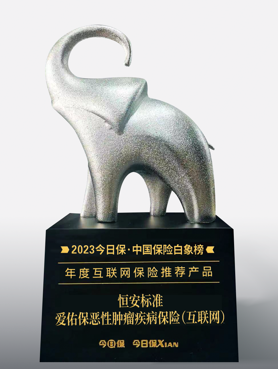2023年愛(ài)佑保獲年度互聯(lián)網(wǎng)保險推薦產(chǎn)品